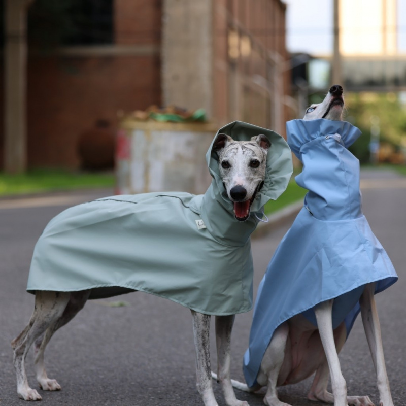 Dog Raincoat - Jas Hujan Warna Solid untuk Anjing