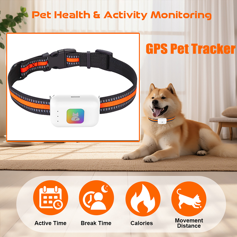Pet Gps Tracker Collar - Perangkat Pelacak GPS Hewan Peliharaan AGPS