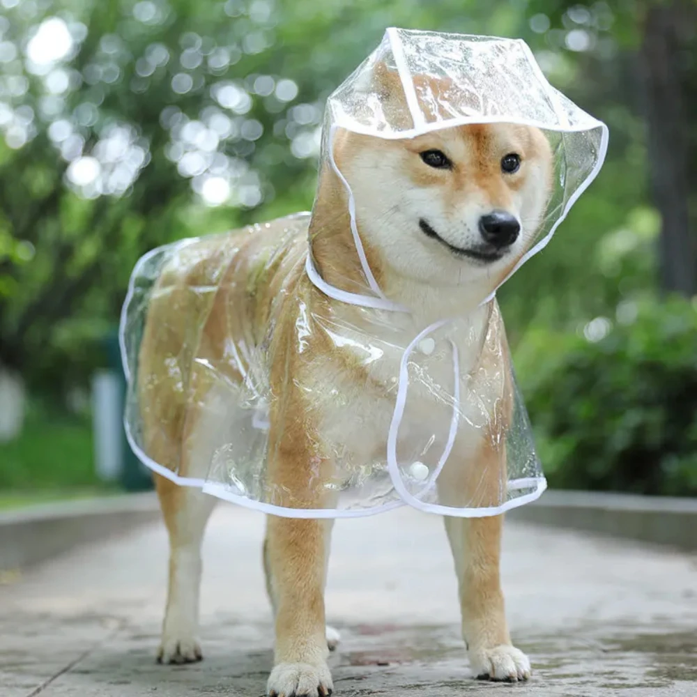 Dog Raincoat - Jas hujan anjing anak anjing transparan,