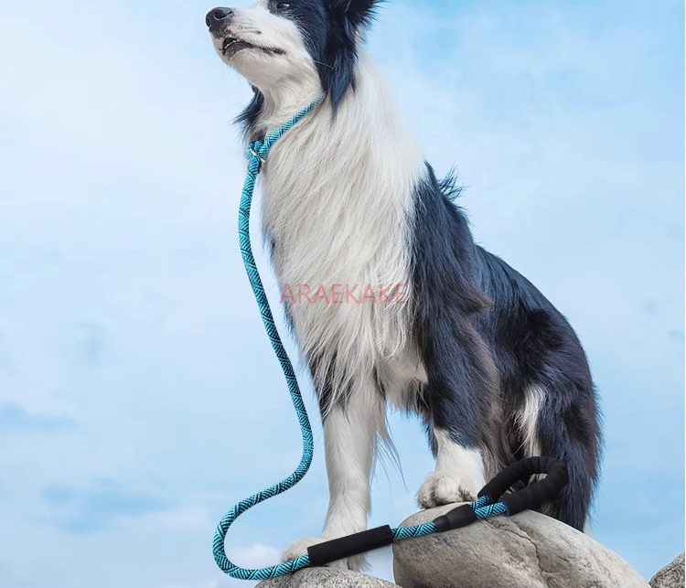 Pet Supplies Young - Tali P anti-ledakan untuk melatih anjing