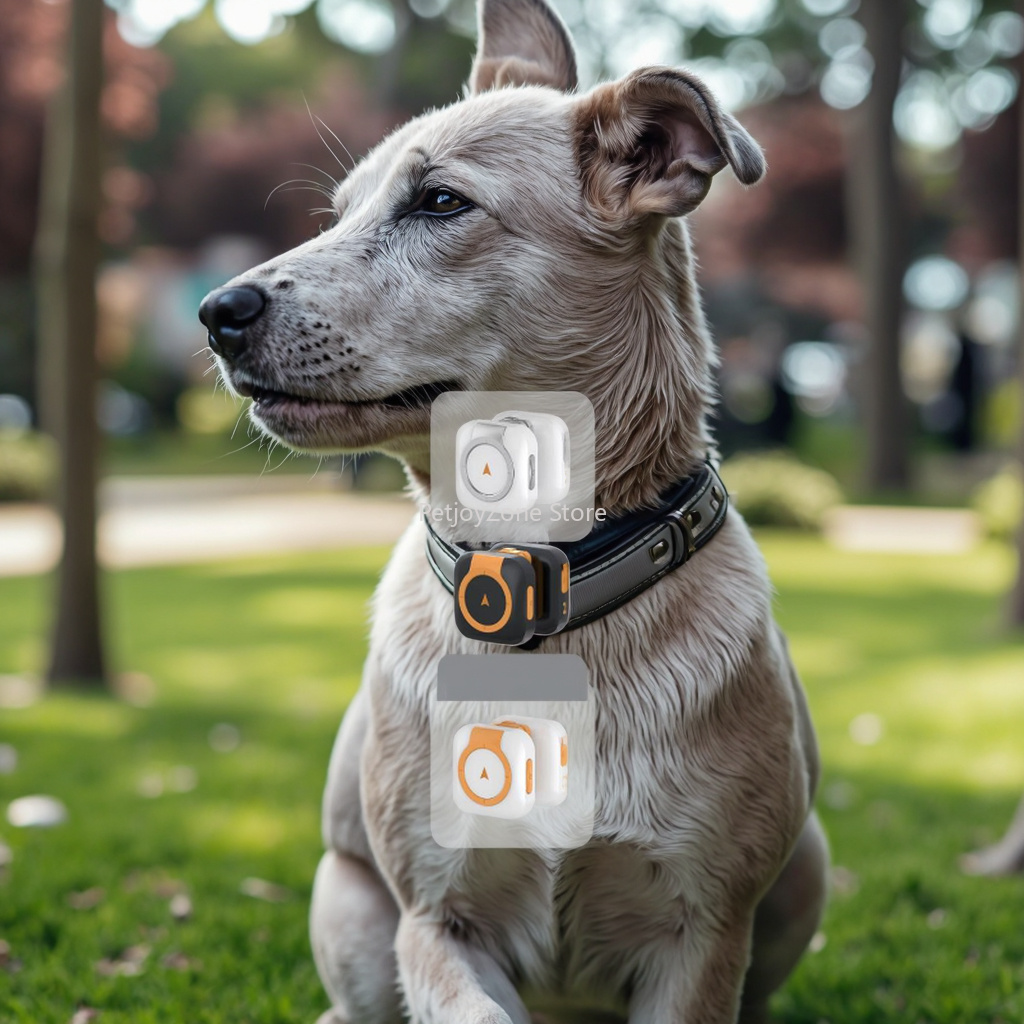 Pet Gps Tracker Collar - Pelacak GPS Hewan Peliharaan Populer Tahan