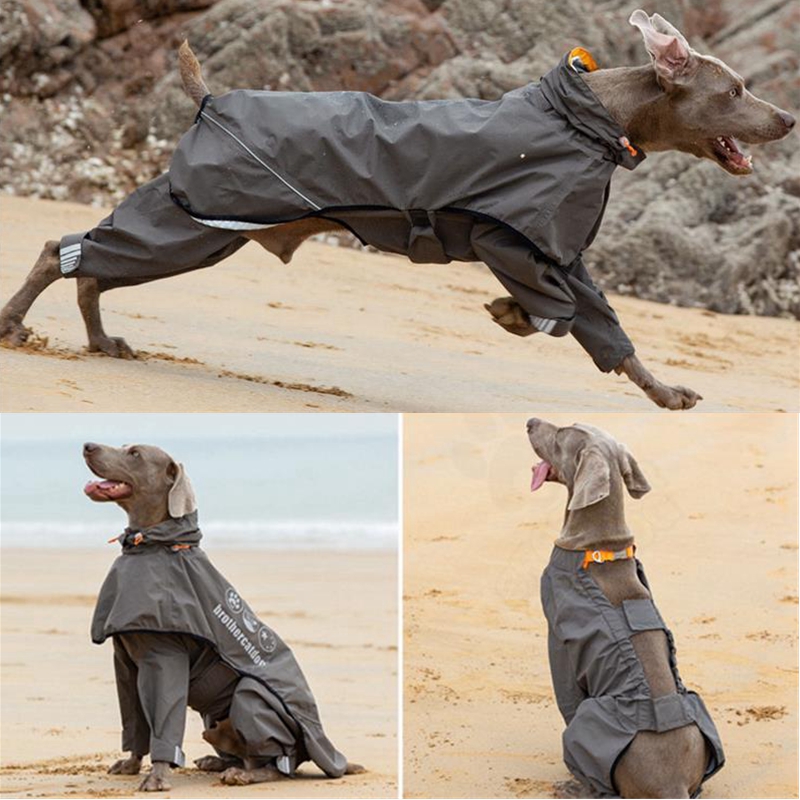 Dog Raincoat - Jas hujan anjing tahan air Jumpsuit