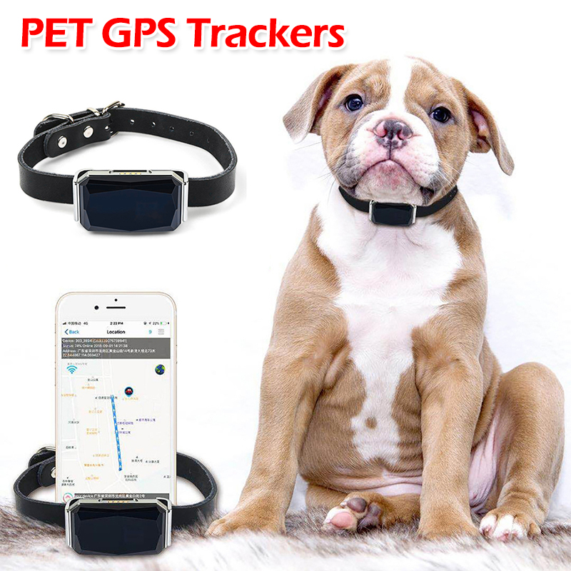 Pet Gps Tracker Collar - Pelacak GPS Hewan Peliharaan dengan Kalung