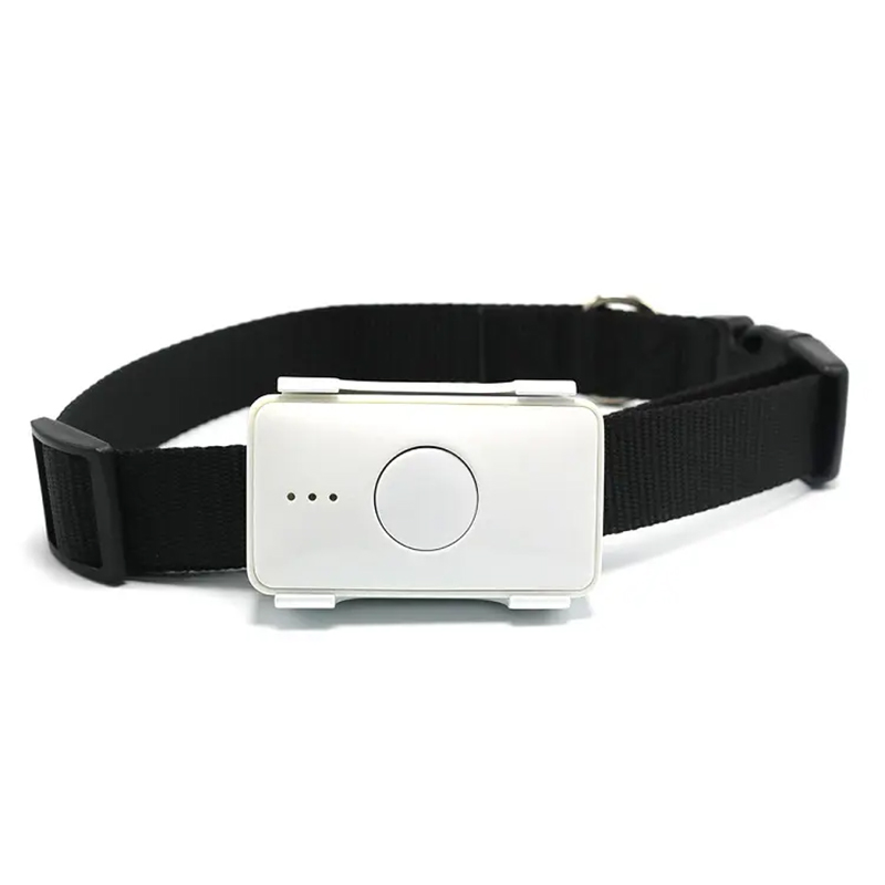 Pet Gps Tracker Collar - Perangkat Pelacak GPS Mini untuk Hewan