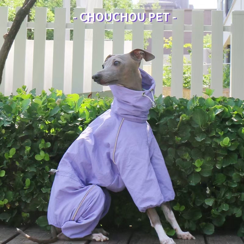 Jas Hujan Greyhound Italia Mus - Dog Raincoat ulasan dan harga