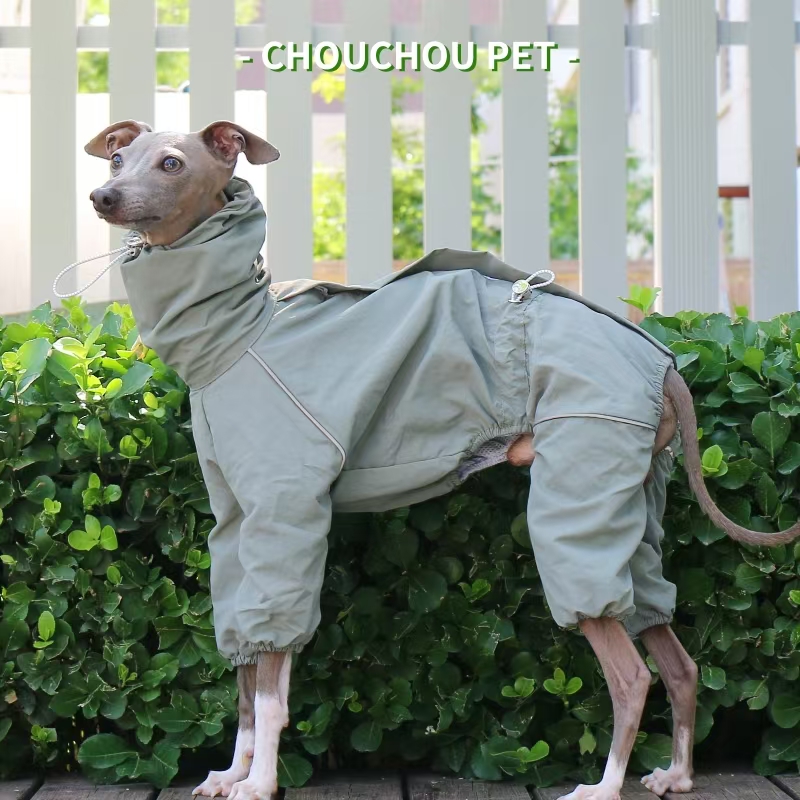 Jas Hujan Greyhound Italia Mus - Dog Raincoat ulasan dan harga