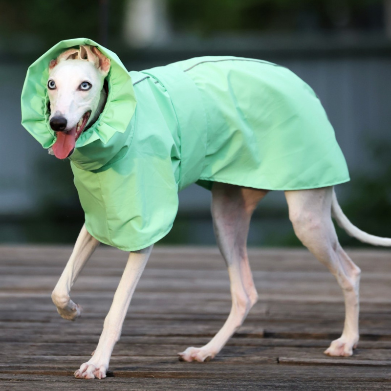 Jas Hujan Warna Solid untuk An - Dog Raincoat ulasan dan harga