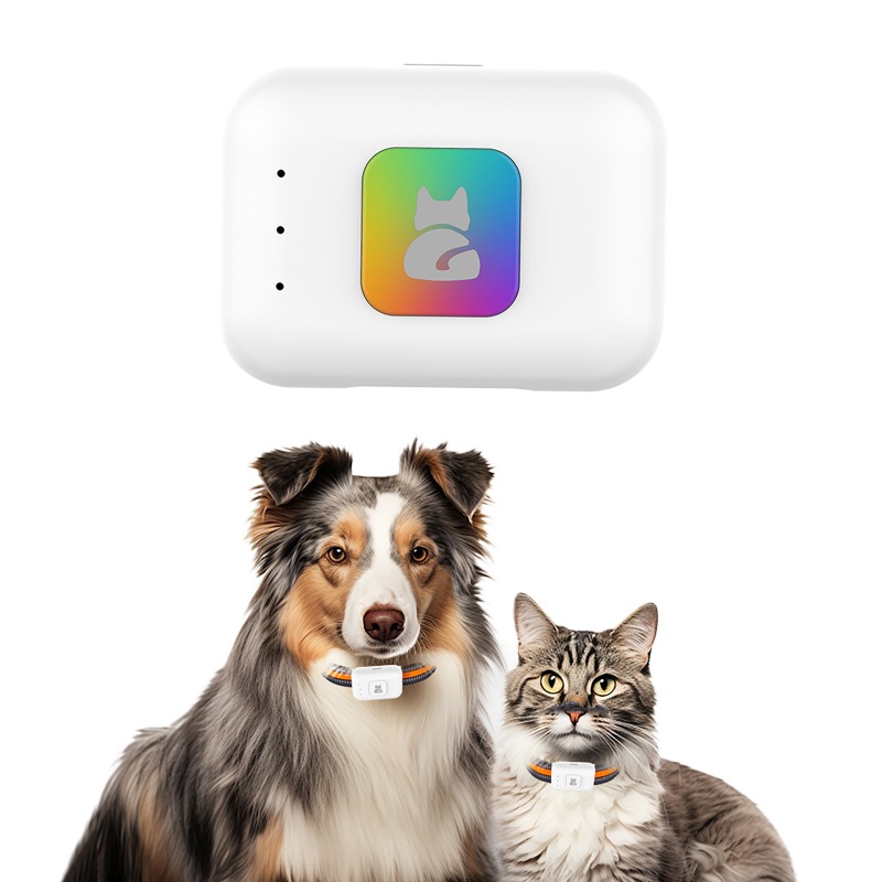 Perangkat Pelacak GPS Hewan Pe - Pet Gps Tracker Collar ulasan dan harga