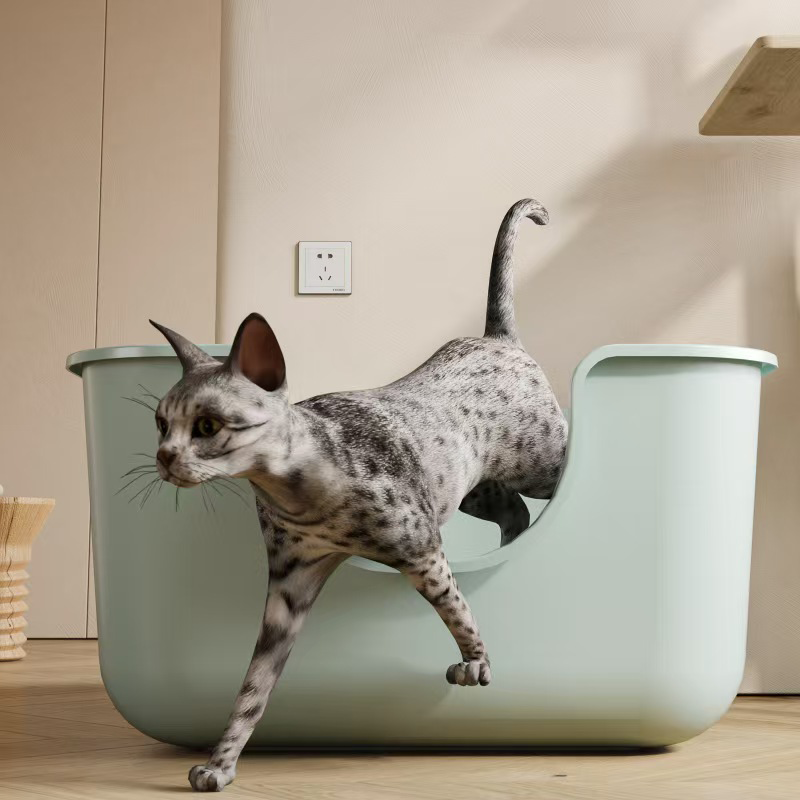 Kotak sampah kucing ekstra bes - Pet Supplies Young ulasan dan harga