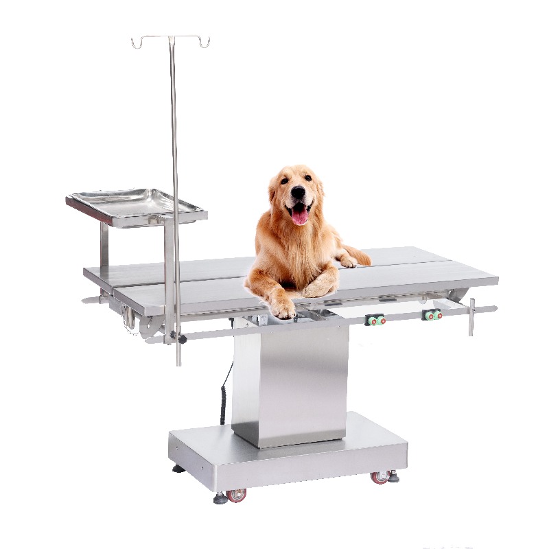 Meja Periksa Hewan 2026 untuk  - Pet Supplies Vet Clinic ulasan dan harga
