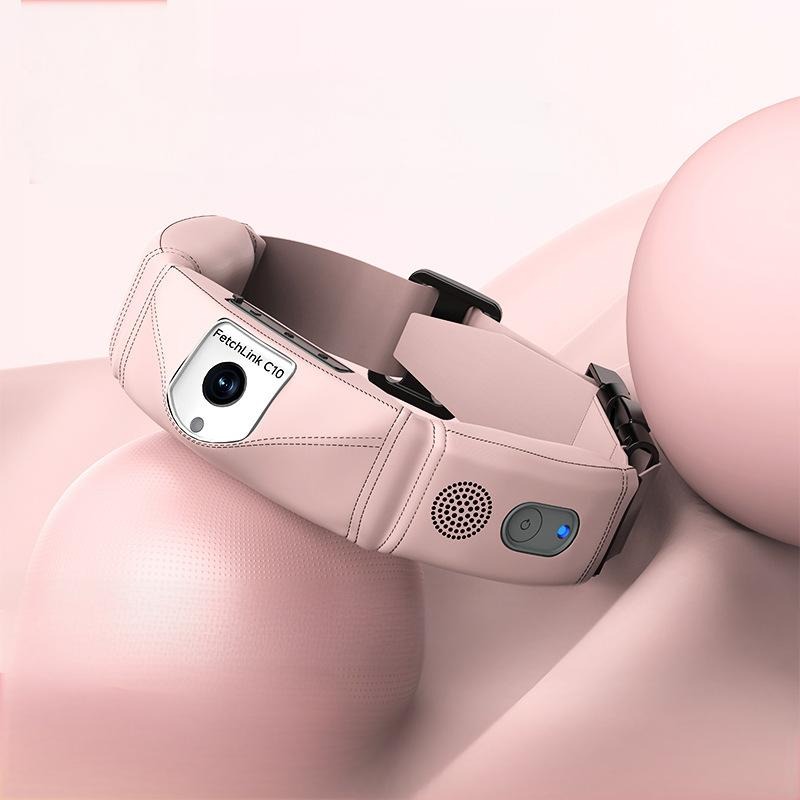 Kalung Pintar All-in-One Denga - Pet Gps Tracker Collar ulasan dan harga