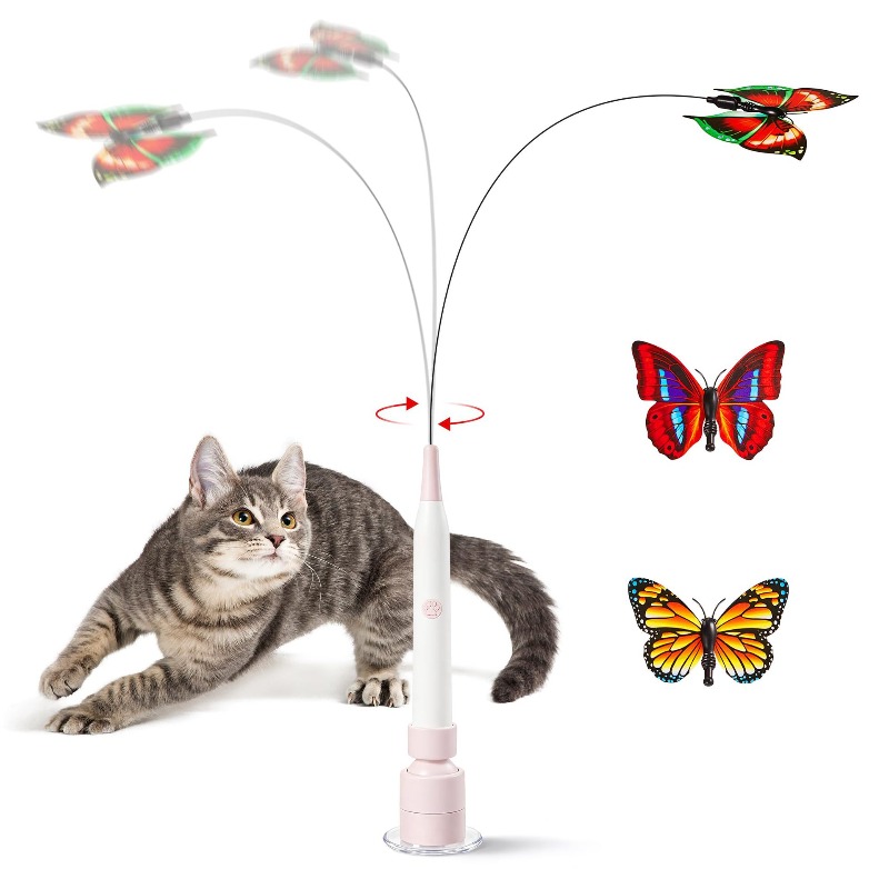 Bola Mainan Kucing Otomatis In - Pet Supplies Young ulasan dan harga