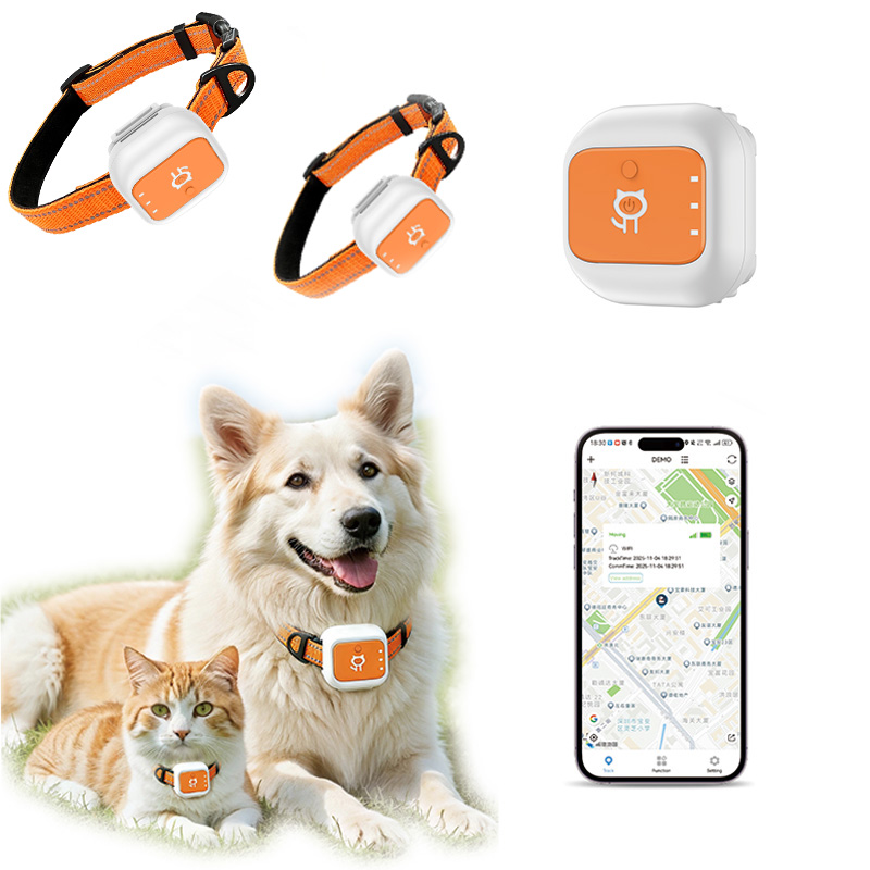 Pelacak GPS Hewan Peliharaan d - Pet Gps Tracker Collar ulasan dan harga