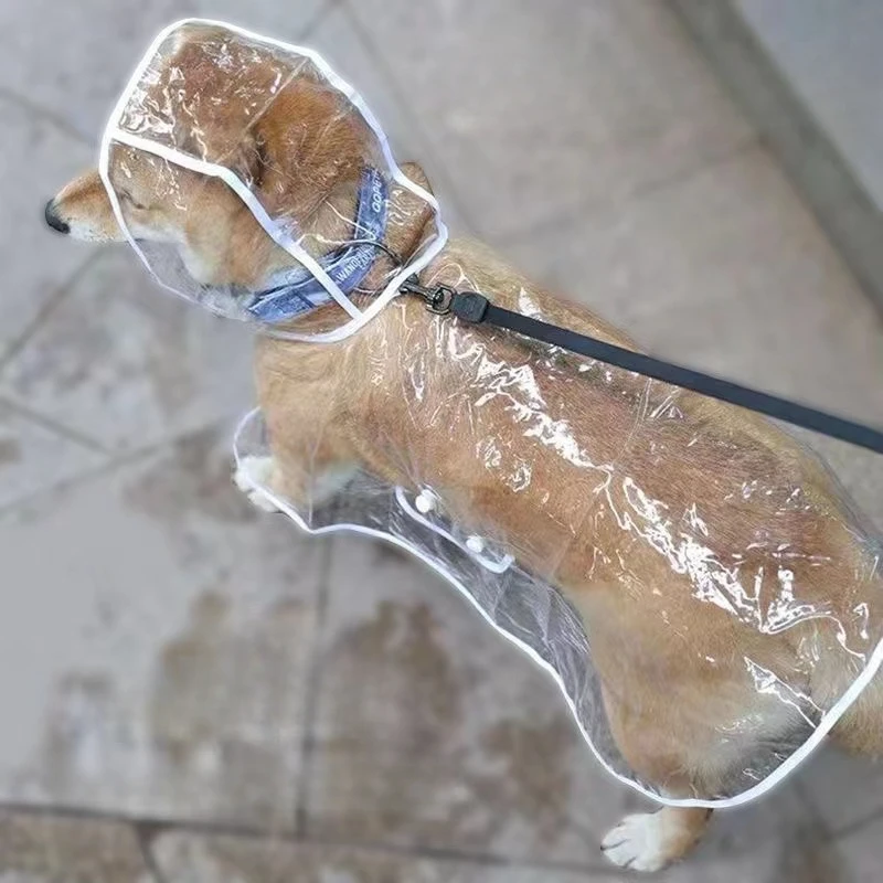 Jas hujan anjing anak anjing t - Dog Raincoat ulasan dan harga
