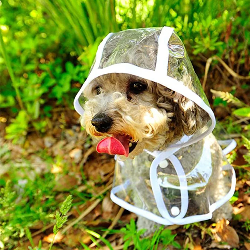 Jas hujan anjing anak anjing t - Dog Raincoat ulasan dan harga