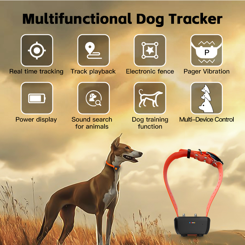 Kerah Pelacakan Anjing GPS Tah - Pet Gps Tracker Collar ulasan dan harga