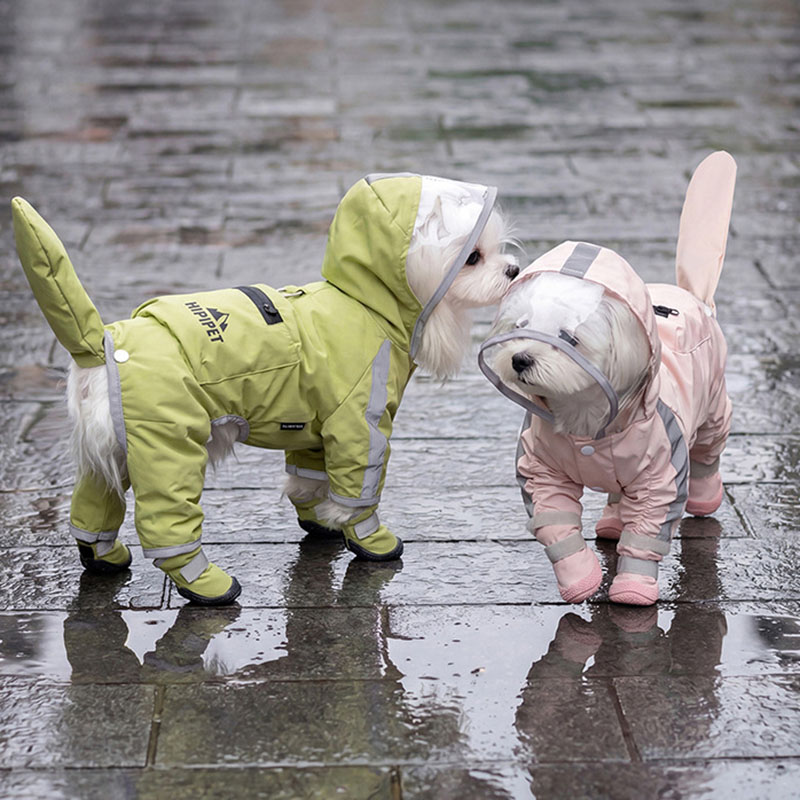 Jas Hujan Anjing Tahan Air Tra - Dog Raincoat ulasan dan harga