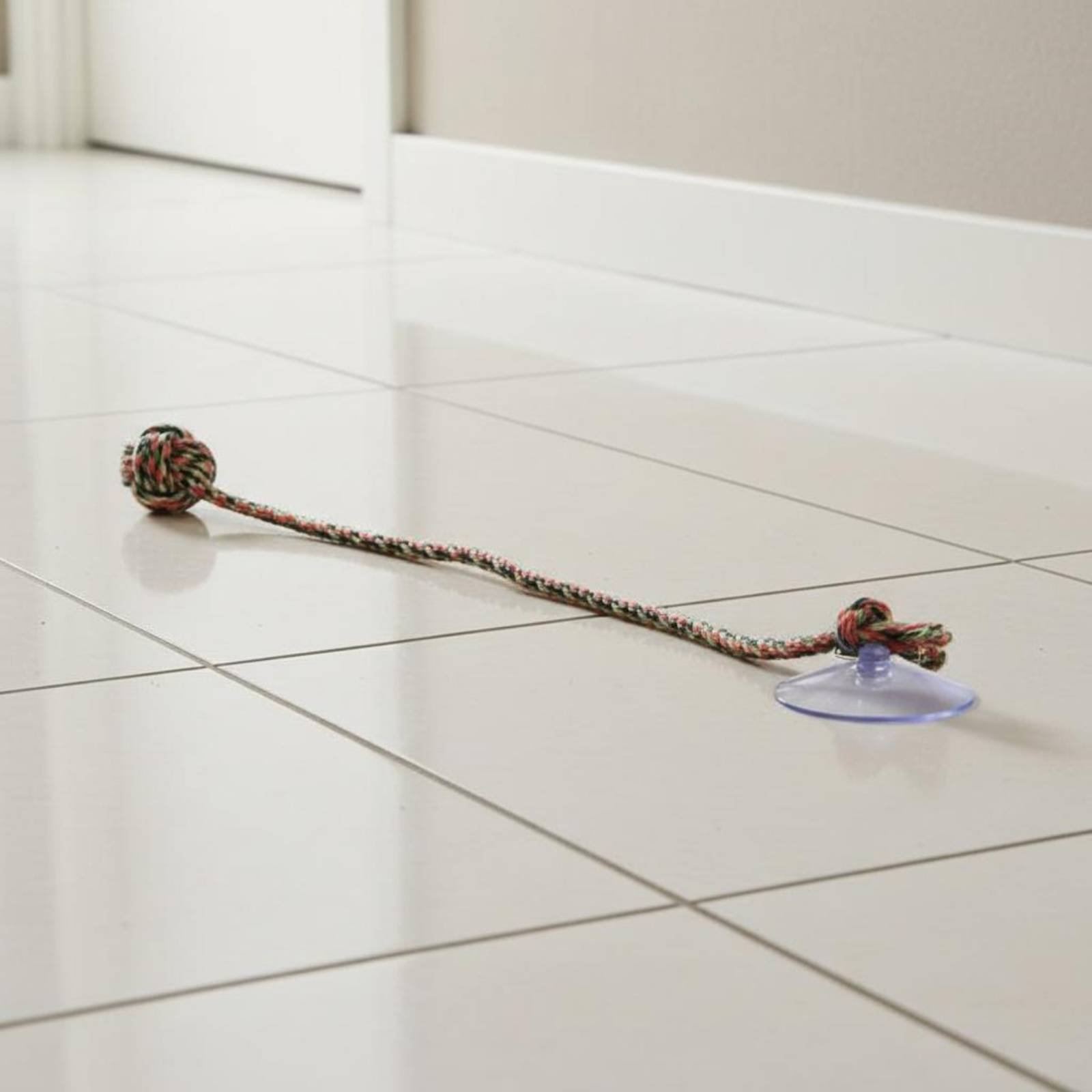 Mainan Anjing Suction Disc Tah - Pet Supplies Young ulasan dan harga