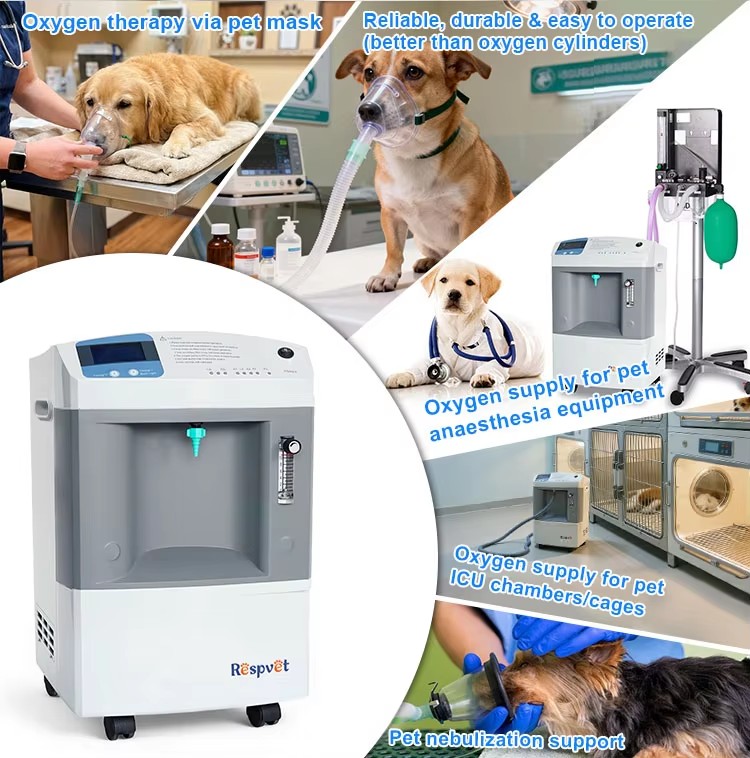 Alat Pasokan Oksigen Veteriner - Pet Supplies Vet Clinic ulasan dan harga