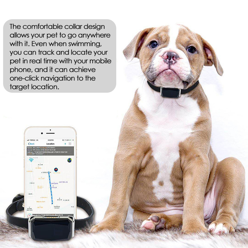 Pelacak GPS Hewan Peliharaan d - Pet Gps Tracker Collar ulasan dan harga