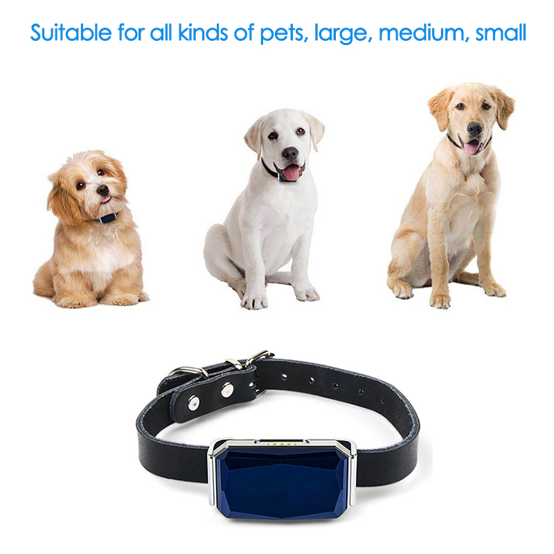 Pelacak GPS Hewan Peliharaan d - Pet Gps Tracker Collar ulasan dan harga