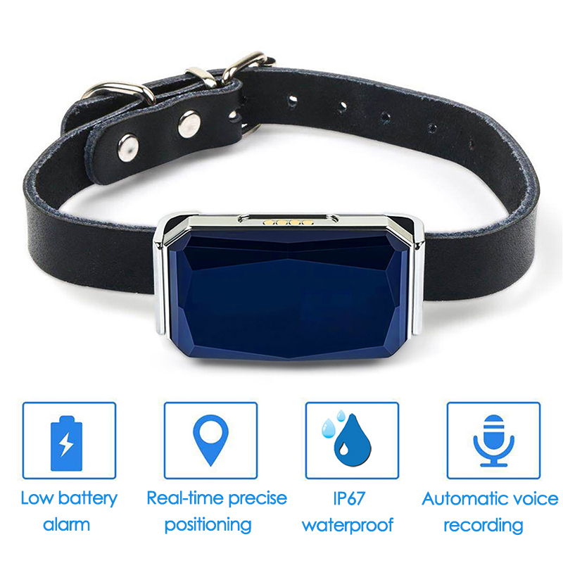 Pelacak GPS Hewan Peliharaan d - Pet Gps Tracker Collar ulasan dan harga