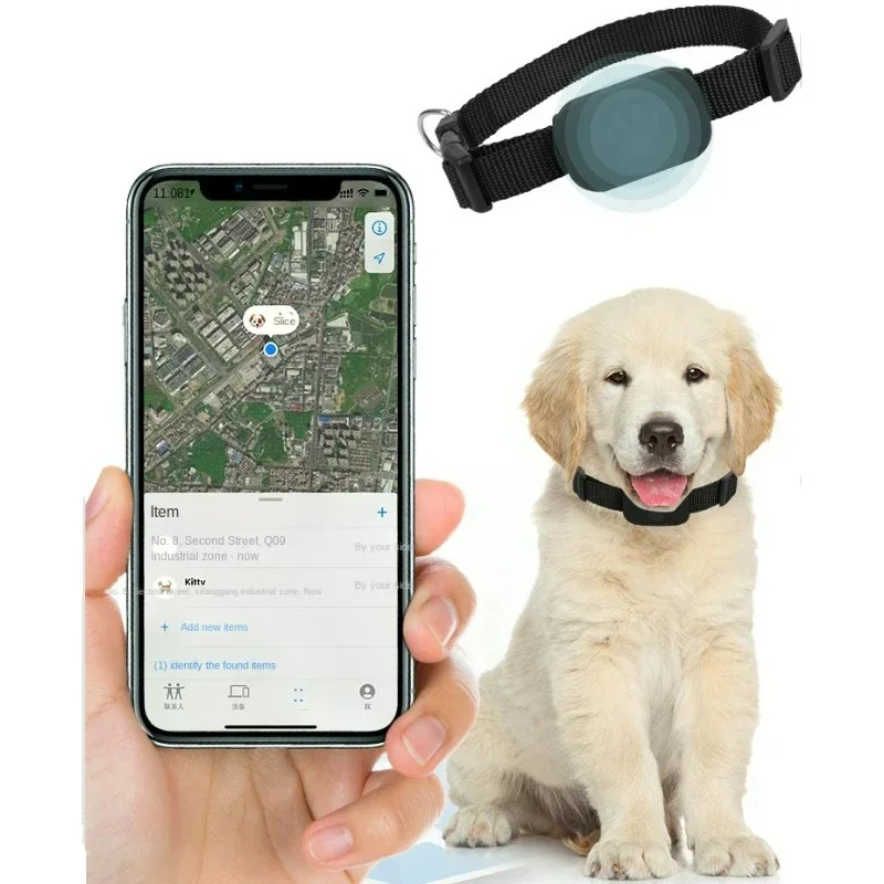 Pelacak gerakan hewan Gps anji - Pet Gps Tracker Collar ulasan dan harga