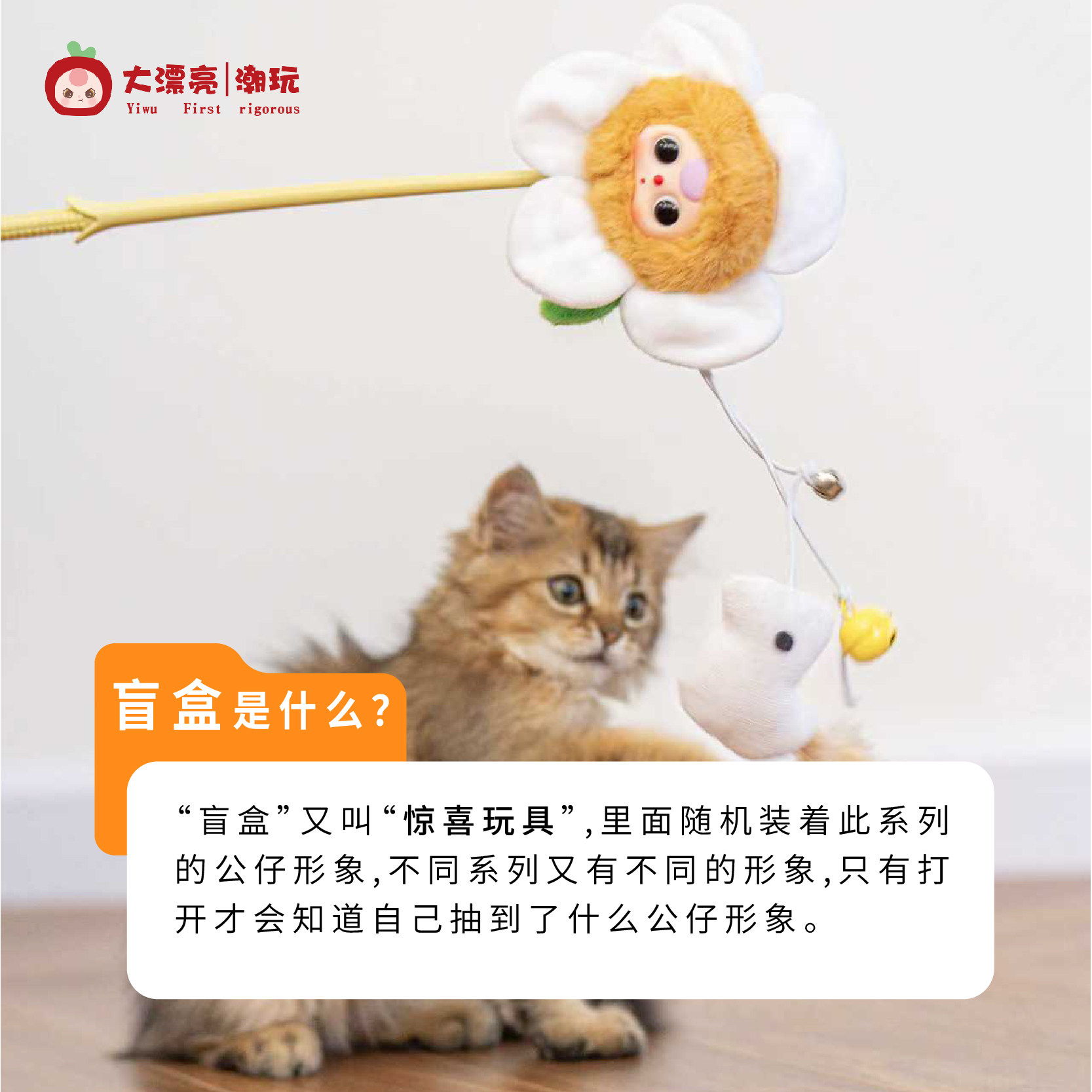 Dapiaoliang Chaowan Mainan Kuc - Pet Supplies Young ulasan dan harga