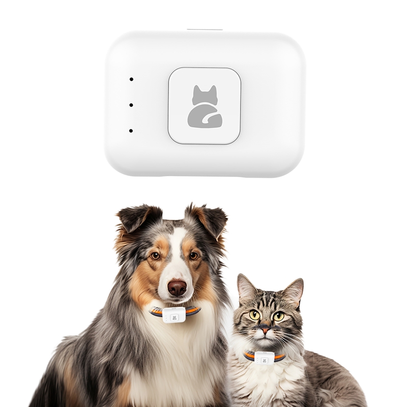 Pelacak Hewan Peliharaan GPS d - Pet Gps Tracker Collar ulasan dan harga