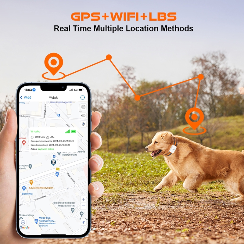 Pelacak Hewan Peliharaan GPS d - Pet Gps Tracker Collar ulasan dan harga