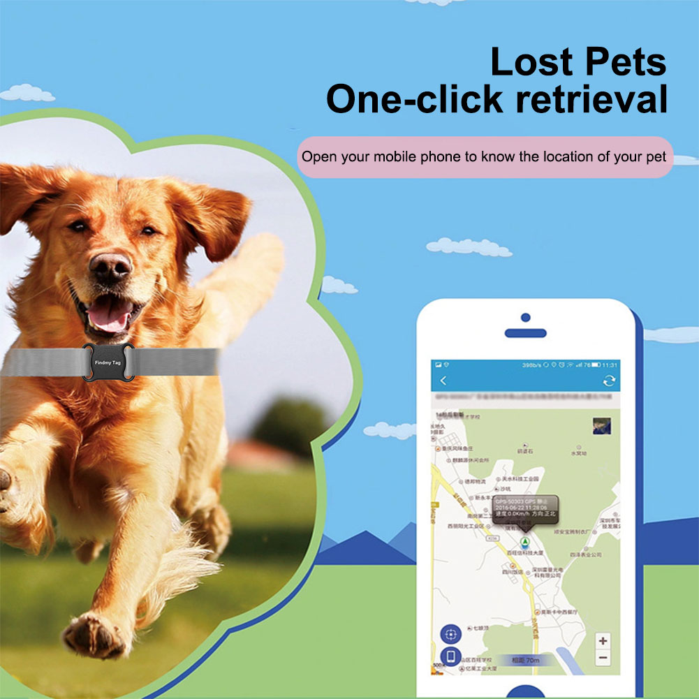 Pelacak GPS Anti-Hilang, Penca - Pet Gps Tracker Collar ulasan dan harga
